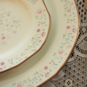 Floral Vine Porcelain Dinner Set