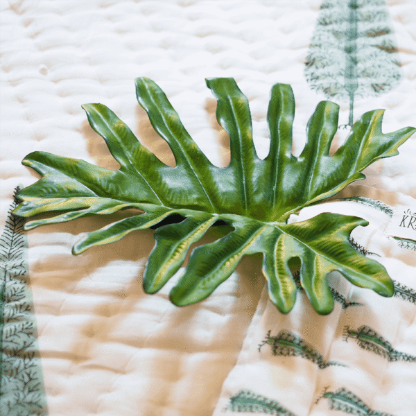 Tropical Leaf Stem